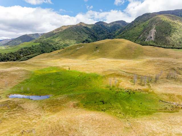 463 Gull Flat Road, Kereru Kereru_4