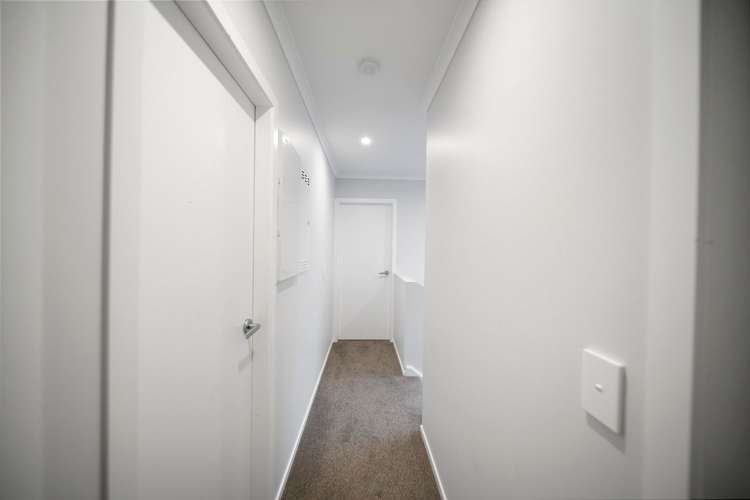 29B Glanmire Road Newlands_14