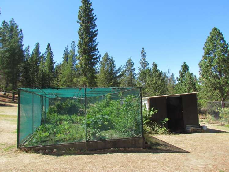 198 Letts Gully Road Alexandra_17