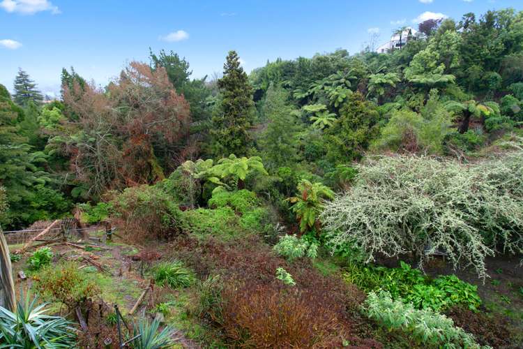 85 Gradara Avenue Otorohanga_17