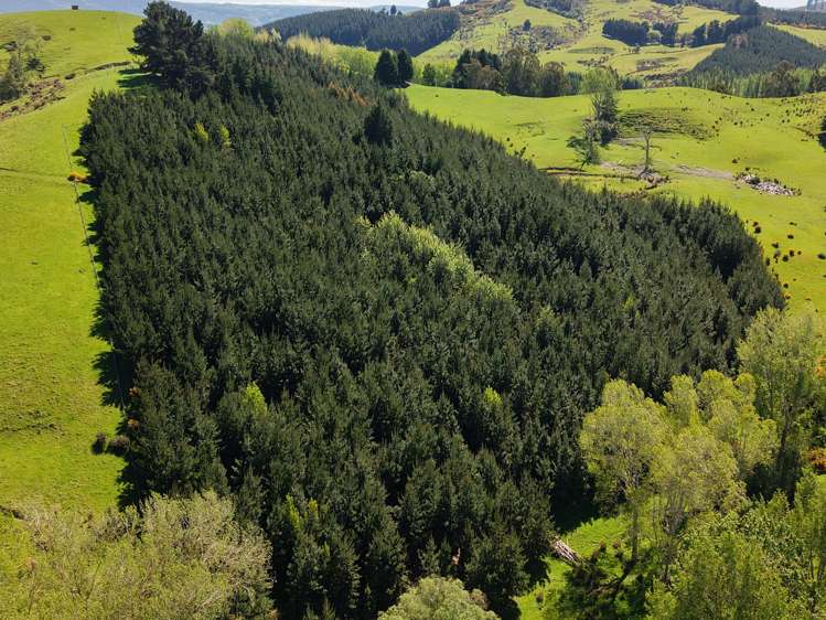 66 Otokia-Kuri Bush Road West Henley_29