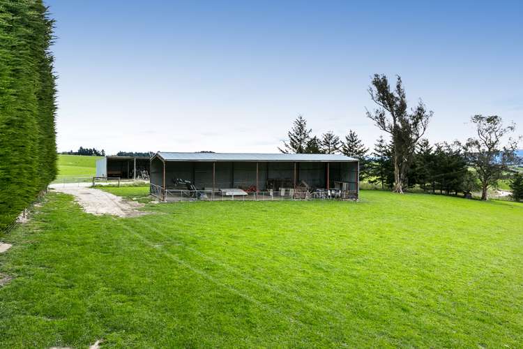 1152 Waitahuna West Road Lawrence_13