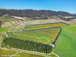 Central Otago vineyard with room to grow