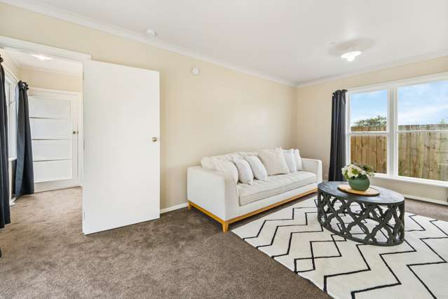 46b Kaimanawa Street Kelvin Grove_3