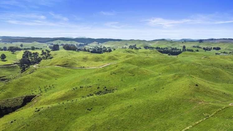 301 Matarawa Road Kinleith_27