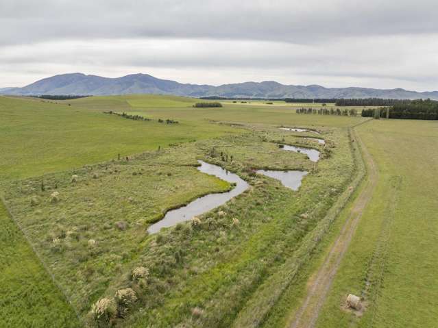 304 Acton Downs Road Acton_3