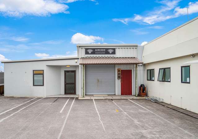 110D Saint Lukes Road Mt Albert_3