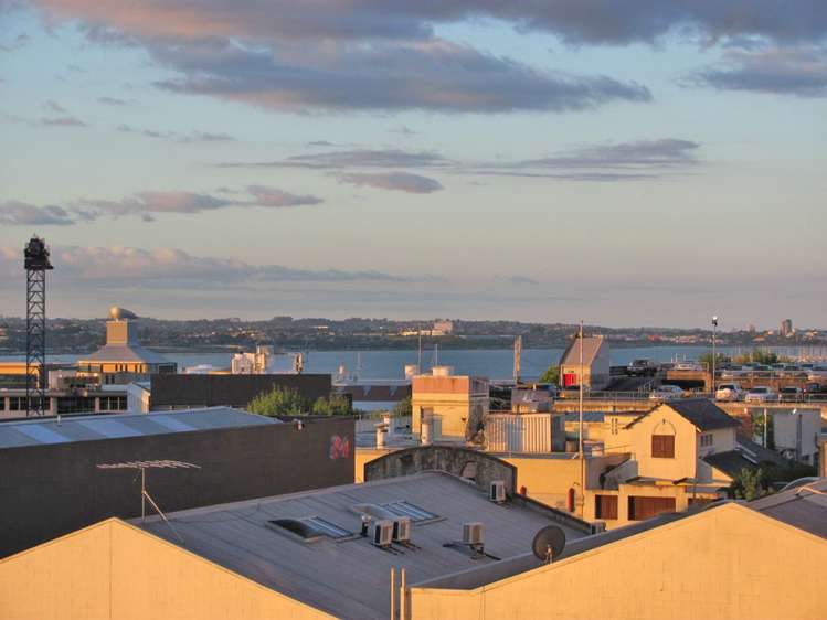 135 Hobson Street 10015_9