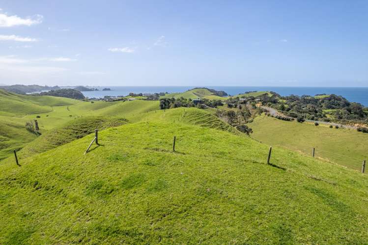 Lot 1 Rockell Road Whananaki_22