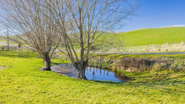 Lot Lot 2/115 Ireland Road_5