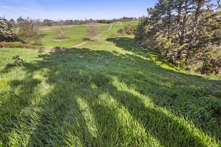 356 Omanawa Road Kaimai_3