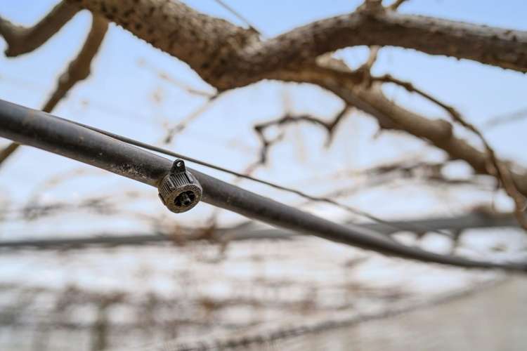 416 State Highway 2 Katikati_11