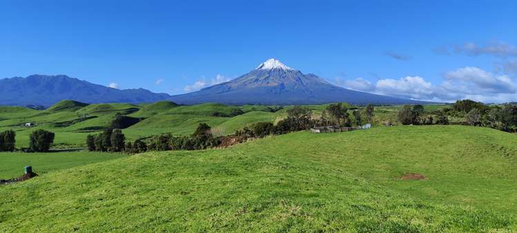 Parihaka Road Pungarehu_12