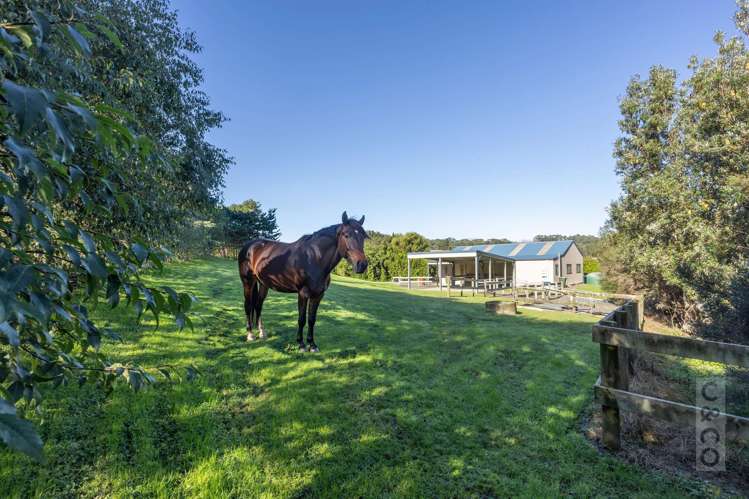 208B Glenmore Road Coatesville_15