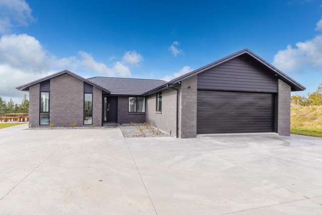 66 Hangapipi Road Huntly_1