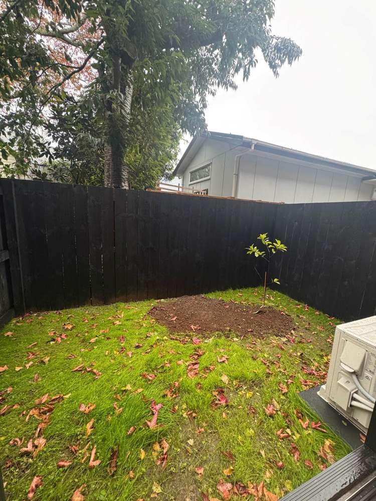 8/5 Mount Albert Road Mt Albert_15