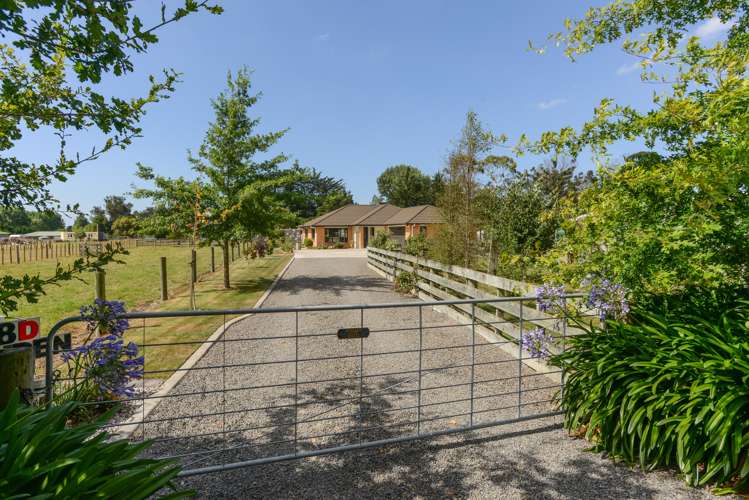 78d White Road Otane_19