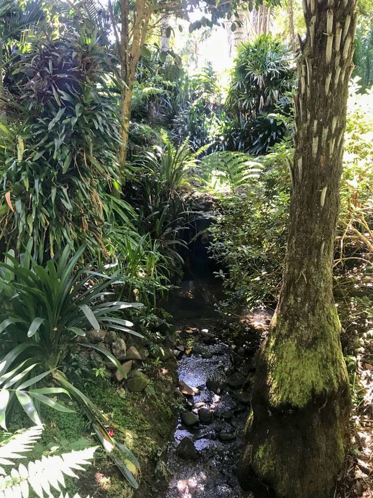 111 Old Reservoir Road Karangahake_17