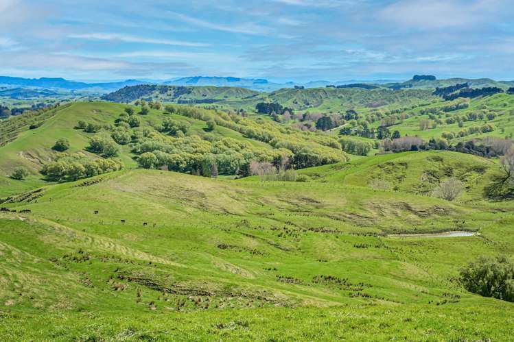 683 Bush Road Wallingford_47