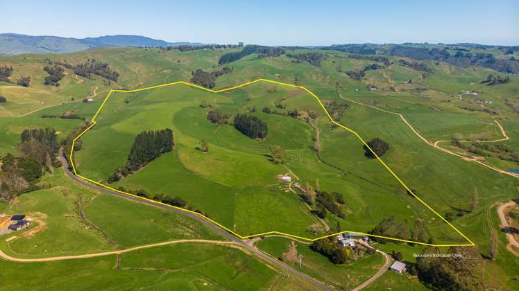 356 Lurman Road Otorohanga_13