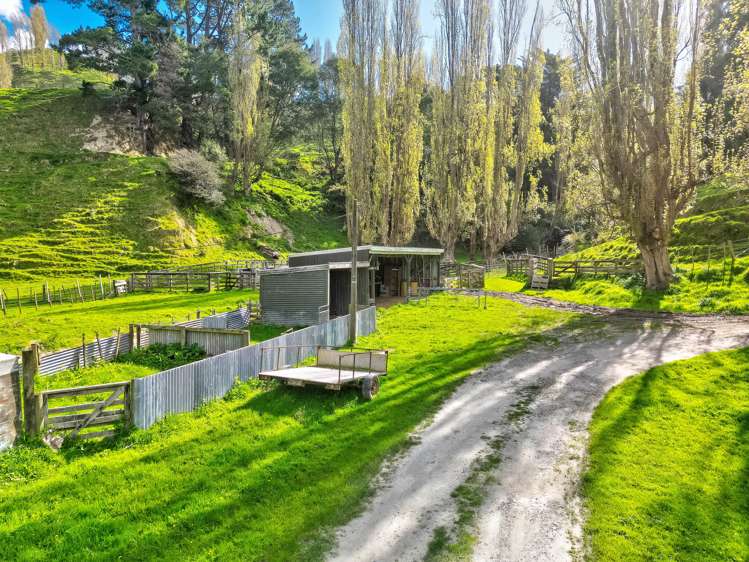 665 Longacre Road Okoia_18