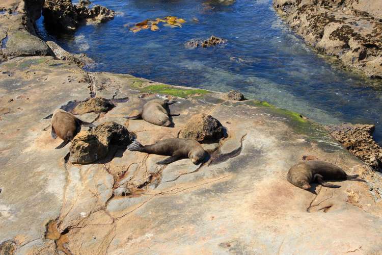 3/28 Shag Point Road Palmerston_12