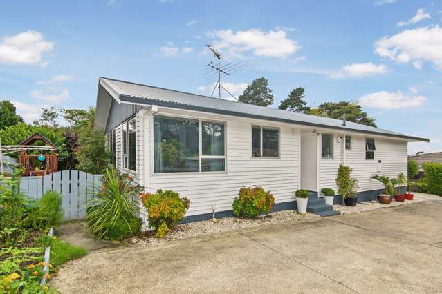 20a Puketitiro Street Glen Eden_2