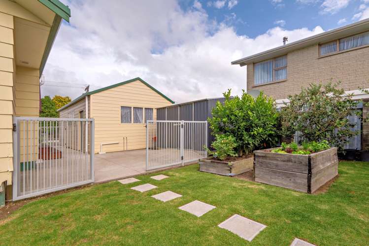 93 Goring Street Opotiki and Surrounds_16