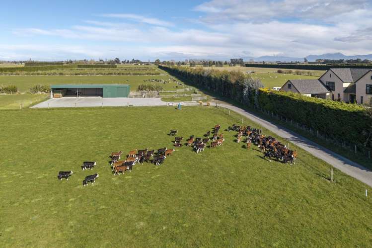 201 Hollands Road Tinwald_20