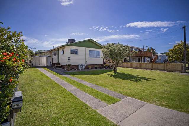 250a Cook Drive Whitianga_4