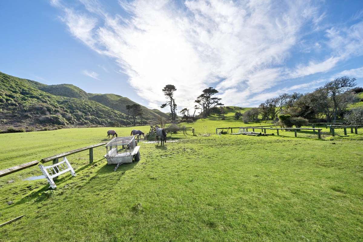 609 Ohariu Valley Road_1