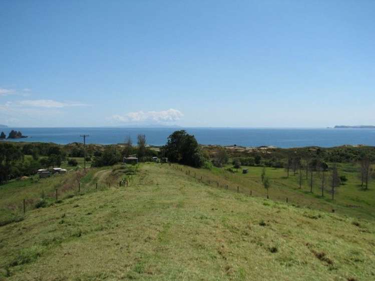 29 White Rocks Rise Kuaotunu_3