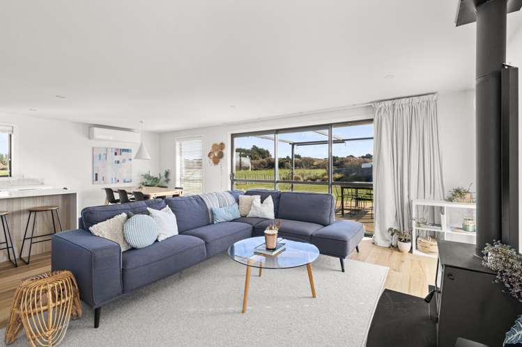 39 George Street Bulls_11