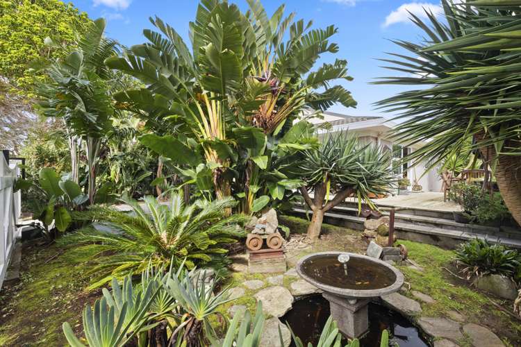 22 Leaming Place Clarks Beach_9