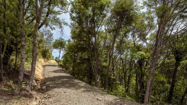 Croisilles-French Pass Road Okiwi Bay_17