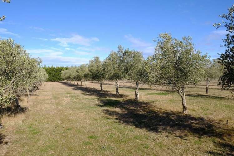 206 Mount Brown Road Amberley_11