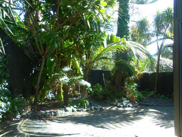 2b Webber Street Westmere_6