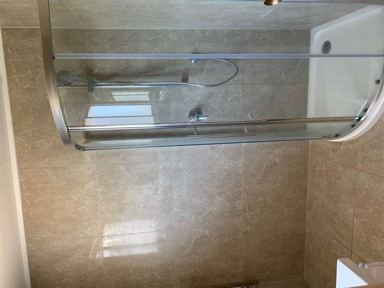 74 Carlton Street Hillsborough_13