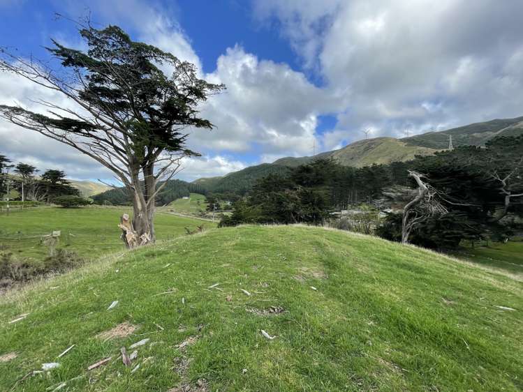 340 South Makara Road_0