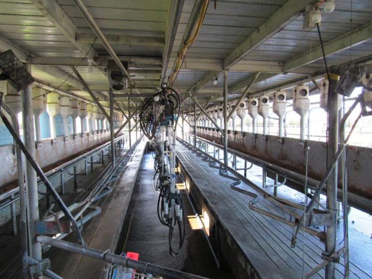 387 Te Aroha-Gordon Road Hauraki Surrounds_3