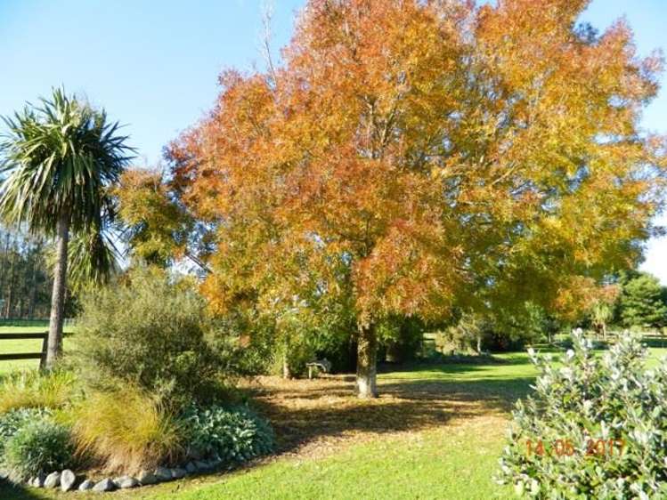 5 Higginson Street Otane_20