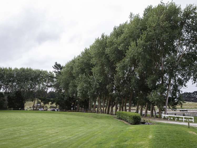 24 James Mackie Road Helensville_20