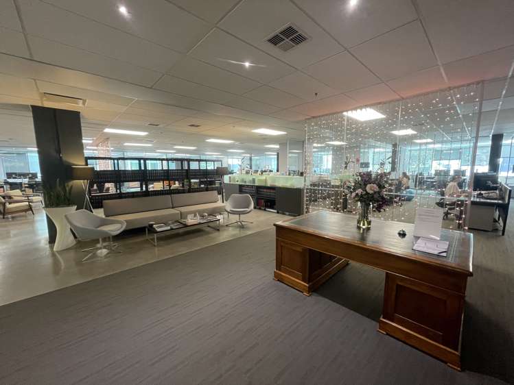 123 Carlton Gore Road Newmarket_7