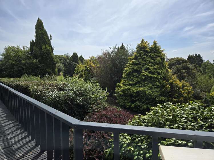 153 Clinton Highway Balclutha_26