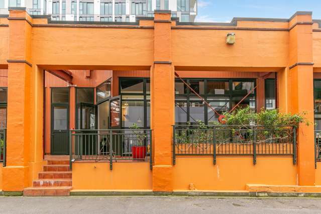 3/14 Alpha Street Te Aro_2