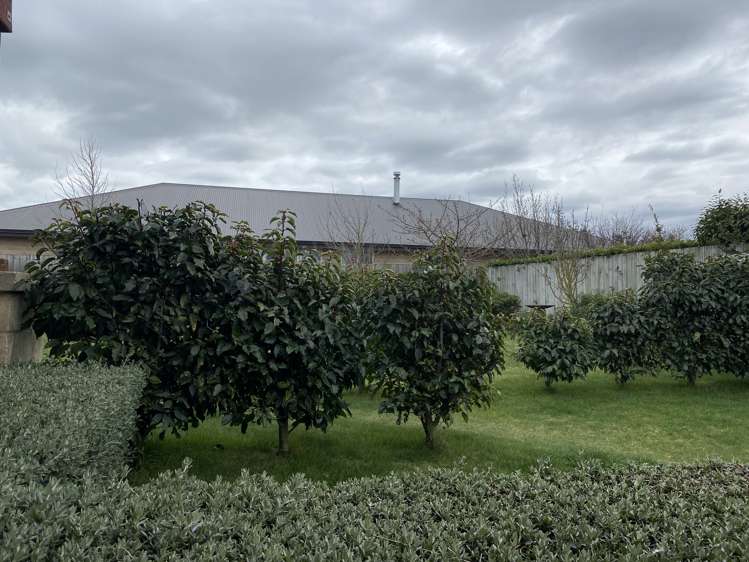 92a Spaxton Street Methven_18