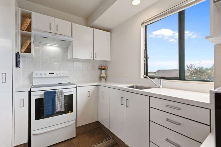 66 Harrisfield Drive Hairini_6