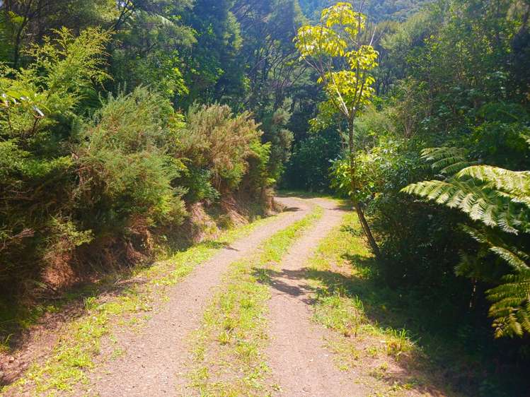 6115 State Highway 1 Kaitaia_26