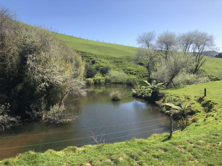 1026 Limeworks Loop Road Karamu_18