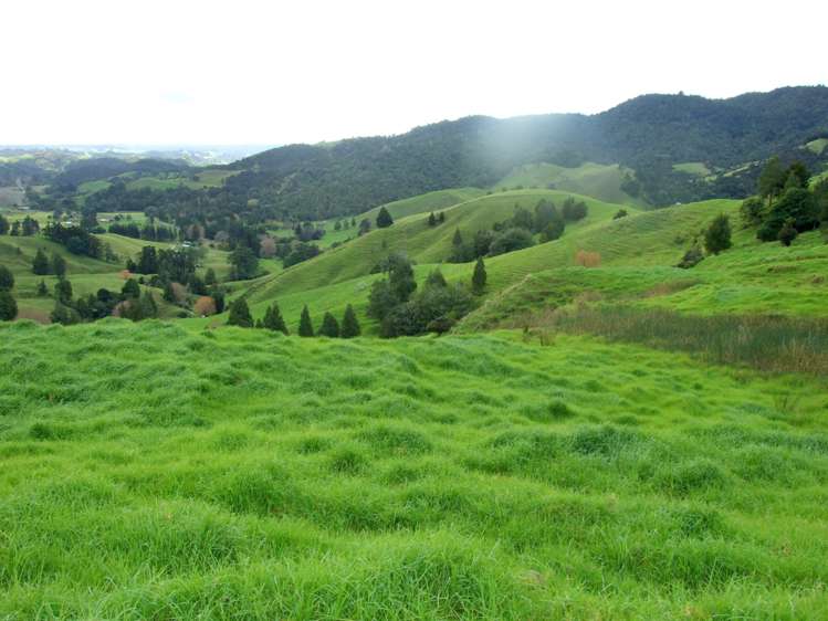 185 Takahue Saddle Road Takahue_15